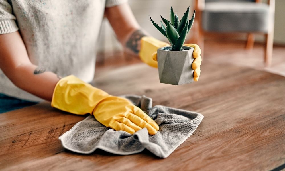 5 Tips for Removing Toxins From Your Home