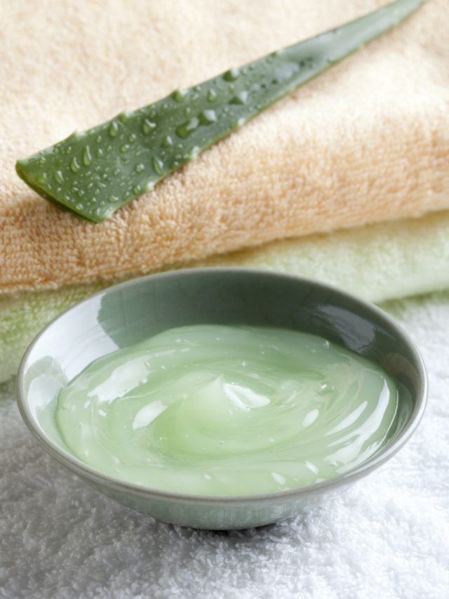 Aloe vera gel and fresh aloe leaf